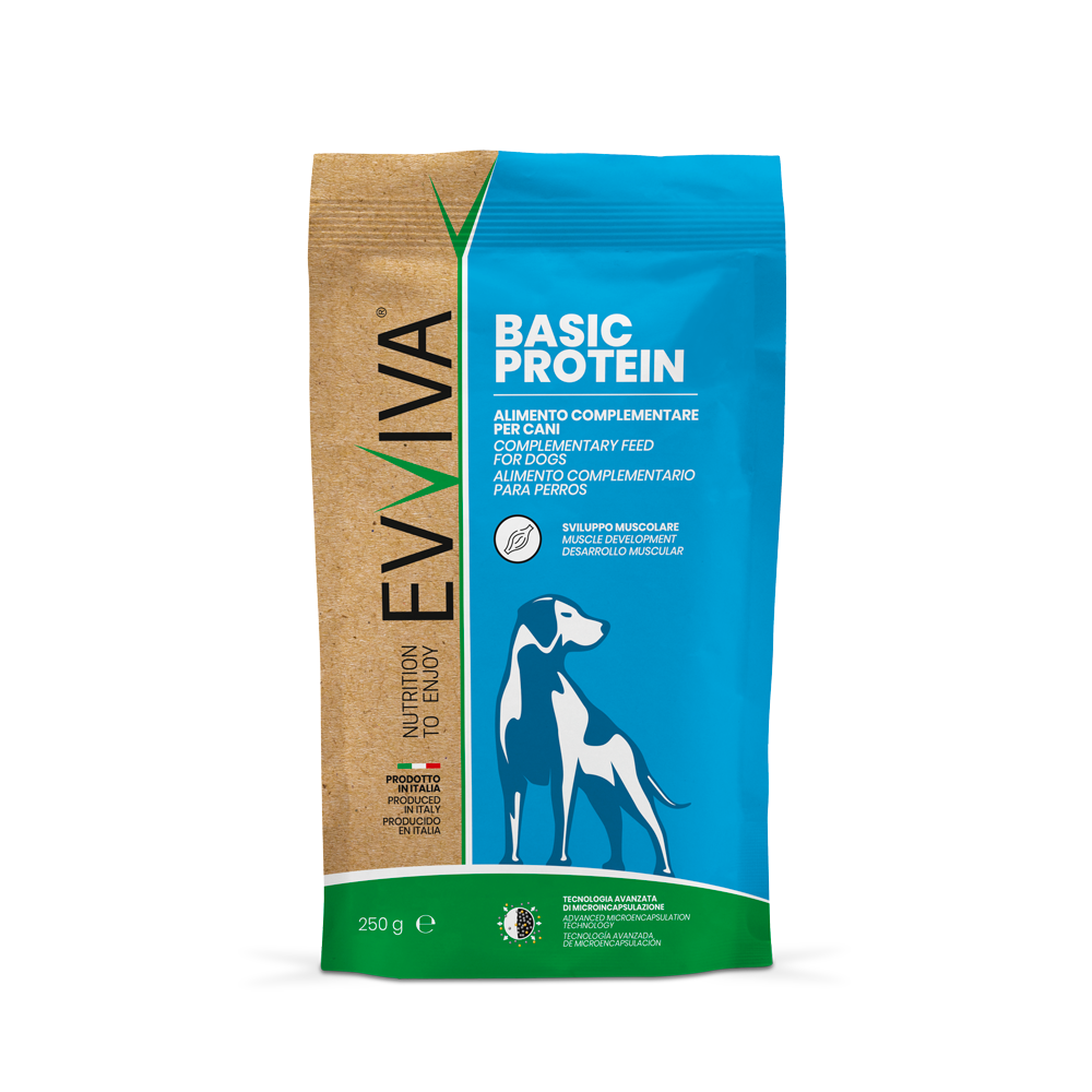 Basic Protein